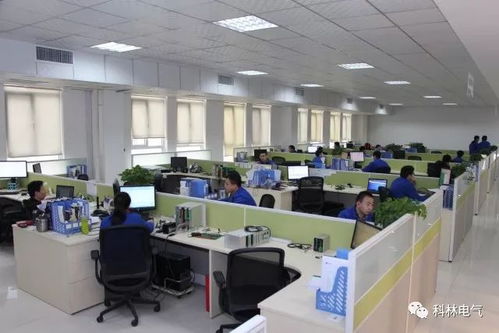 建優(yōu)質(zhì)項(xiàng)目 鑄精品工程——走進(jìn)科林電力工程總承包的卓越工程管理服務(wù)